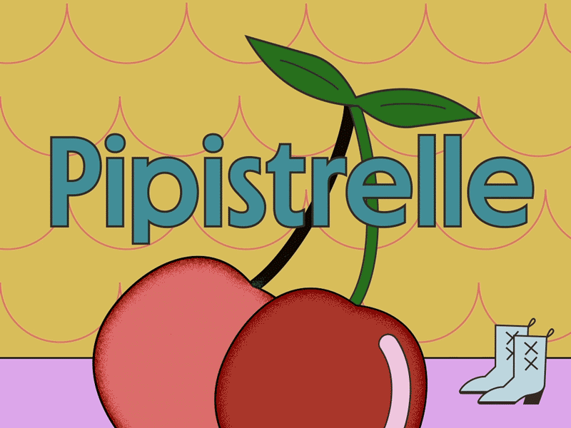 Pipistrellle illustration motion graphics photoshop