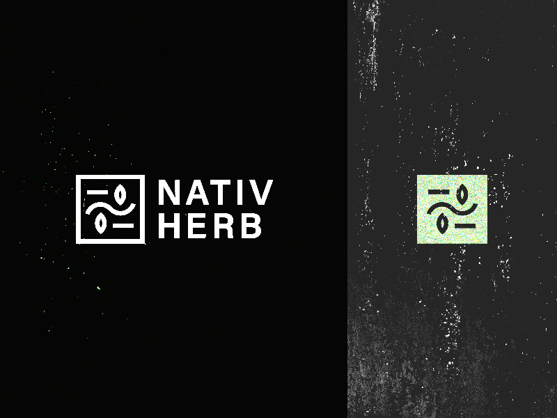 Nativ Herb Selection client client options client presentation herb logo logo design logo options logo presentation marijuana nativ herb native native herb organic organic design