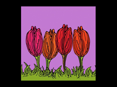 Tulips