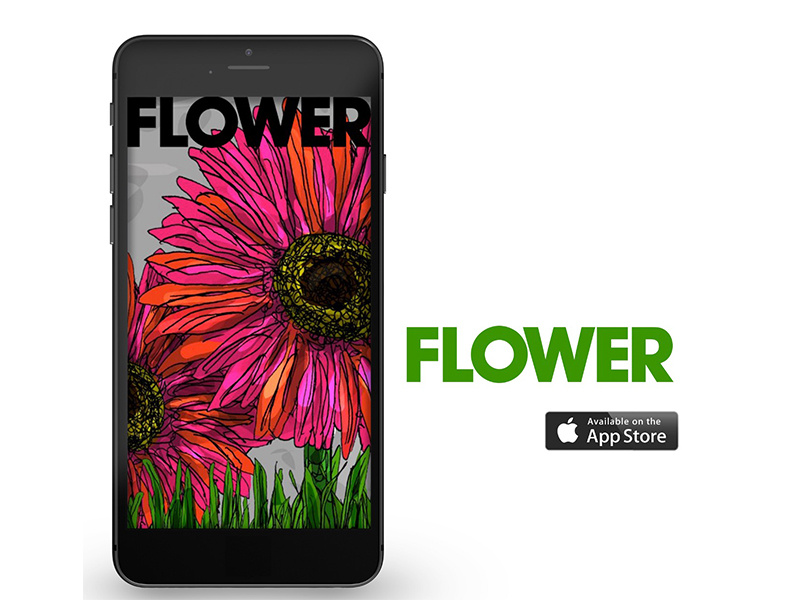 FLOWER APP by EBR Design and Illustration. on Dribbble
