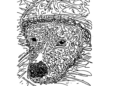 Dog cat dog illustration pet puppy sad