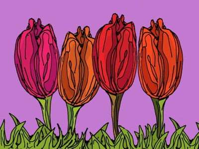 Tulip love flowers illustration nature