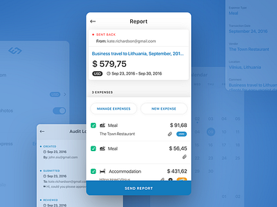 Expense application design concept