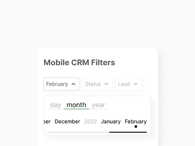 Mobile CRM Filters app dailyui dropdown filter filters mobile ui ux