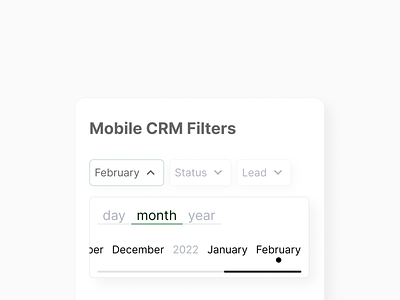 Mobile CRM Filters