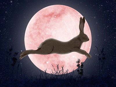 The moon and the hare book character illustration nature rabbit