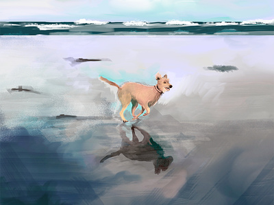 Dog on the beach colours digital paint illustration light photography photoshop