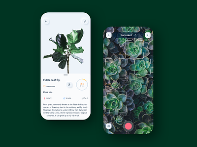 Nursery App preview ai app camera card detection green info ios nature photo plant rounded sketch ui kit vector
