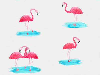 Watercolor flamingos colors drawing flamingo paper watercolor