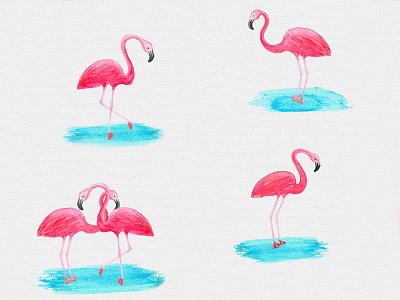 Watercolor flamingos