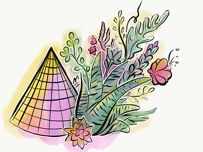 Flwers1 adobe art illustration illustrator polygon sketch succulents