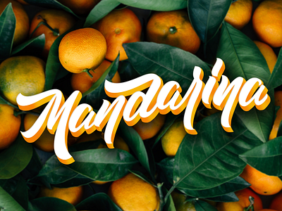 Mandarina / tangerine calligraphy design lettering logo type