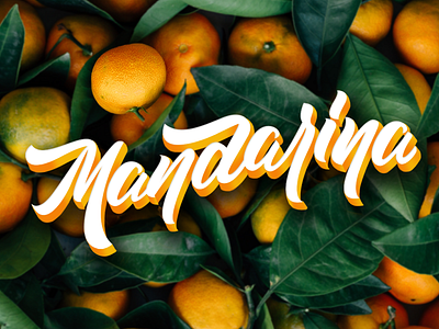 Mandarina / tangerine