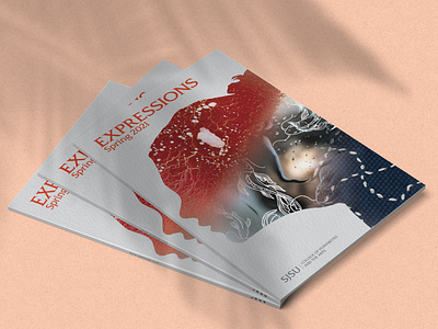 Expressions Conceptual Magazine Cover adobe illustrator advertising branding composite cover design magazine