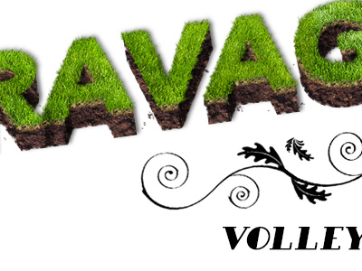 Sod Letters 3d dirt grass logo sod type typography volleyball