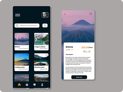 Trip App app design graphic design mobile ui ux