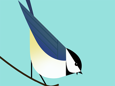 Blue Tit Bird app icon ed tech flat minimal character minimalist modernist