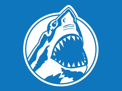 Mt Sharkton art color design illustration mountain shark