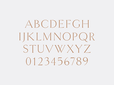 Goldenstaff christmas custom type font serif type design typography