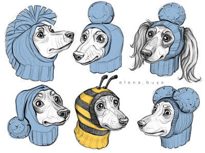 Funny hat dogs dogs illustration sketch