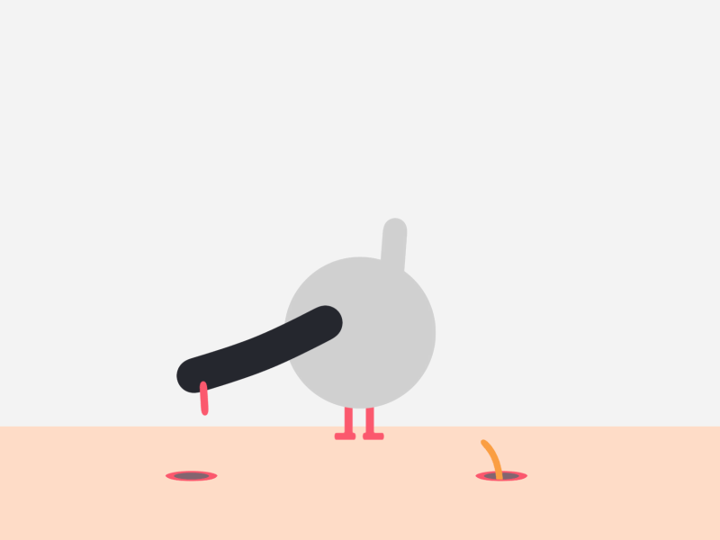 Duck 2d animation after effects dove duck flat loop motion design