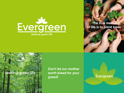 Evergreen - seeking green life 3d animation branding graphic design logo motion graphics