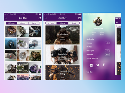 Social App for iOS app gallery ios photo profile segmented control side bar social ui