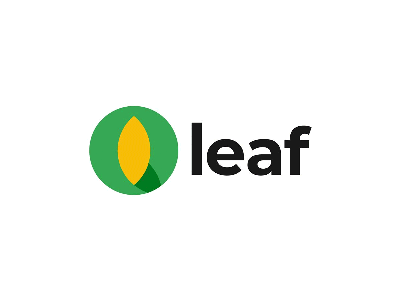 leaf logo- Branding concept
