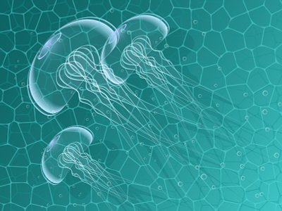 Группа медуз у берега на мелководье вода животное медуза море морской океан прозрачный фон чистый щупальца