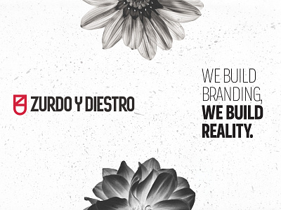 Z&D Branding Agency branding design graphic design illustration logo