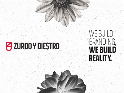 Z&D Branding Agency