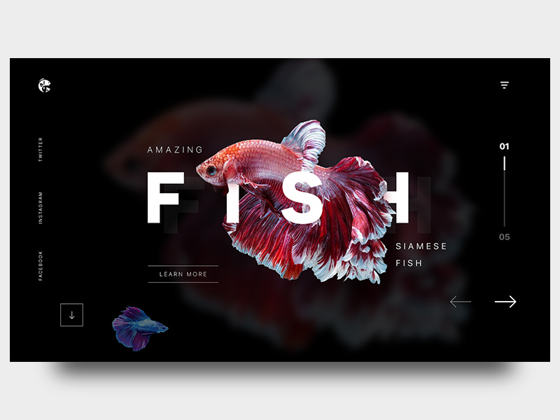 Strange Sea Creature website UI design illustrator photoshop inspiration uidesign wireframing dailyui ux ui webdesigner designinspiration webdesign userinterface