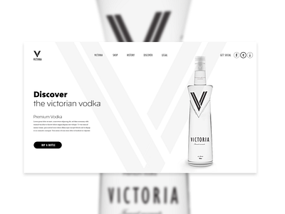 Vodka product design and branding product design ui vodka vodka bottle web design webdesign