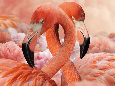 Flamingos, Poenies and Cotton Candy  Poster Artwork