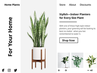Plants gardening greenplants home homeplants indoor plants potplants typography website