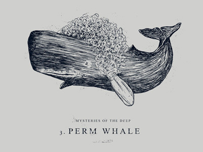 Perm Whale apparel funny illustration whale