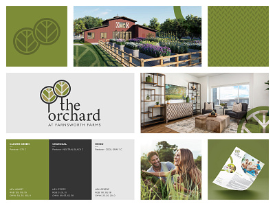 The Orchard Townhome Community