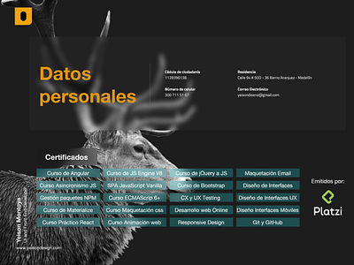 Personal Data branding design ui web