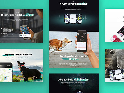 Paby - GPS tracker - Webdesign - WIP dog gps landing page microsite one page design pet pets ui ux web webdesign