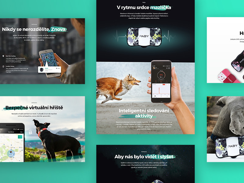 Paby - GPS tracker - Webdesign