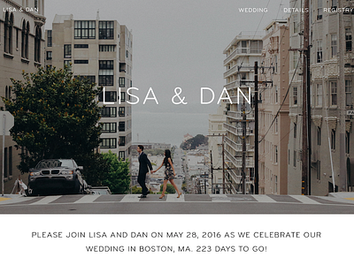 Wedding Website: Lisa & Dan