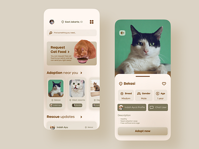 Cat Community Application