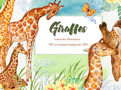 watercolor clip art with giraffes animals baby clipart design giraffes graphic design illustration logo watercolor