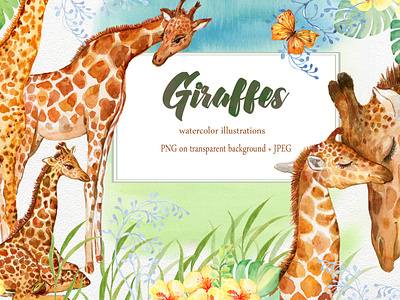 watercolor clip art with giraffes