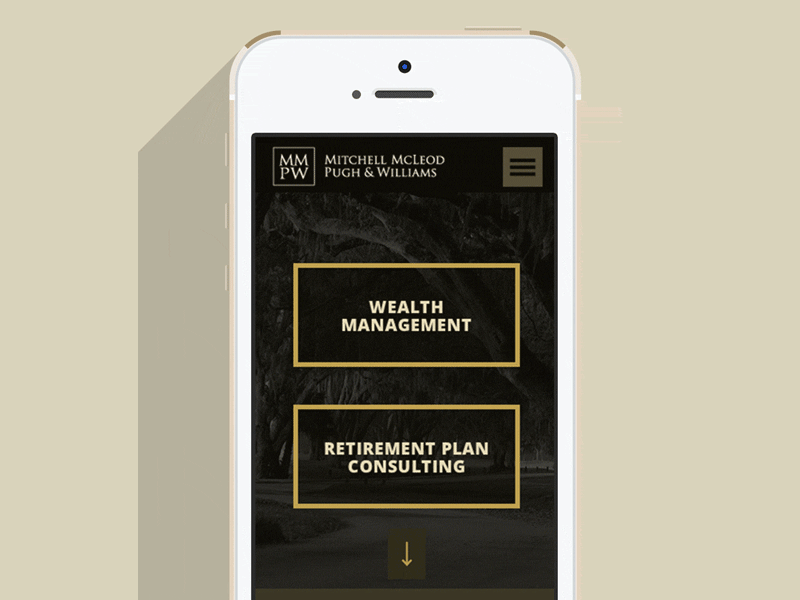 Investment Firm - Mobile Interface design investment mobile