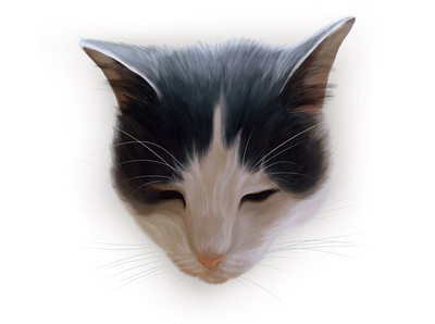 Karel cat digital drawing drawing illustration ipad procreate