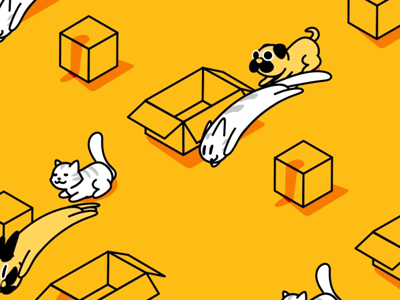 Catch me if you can ! 2d after effect animation box carton cat catch chase cute dog game graphic design illustration loop motion graphics pets pug vector
