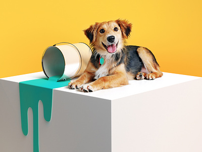 Jetty Pet brand brand assets cinema4d dog email pets photoshop render