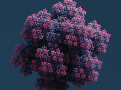 Fractals