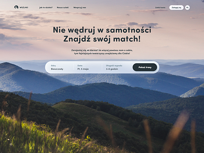 Landing Page - WSZLAKI design graphic design landing page ui ux website